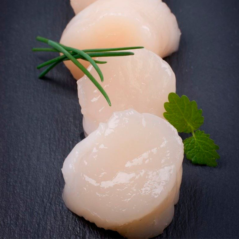 Scallops - (1lb)