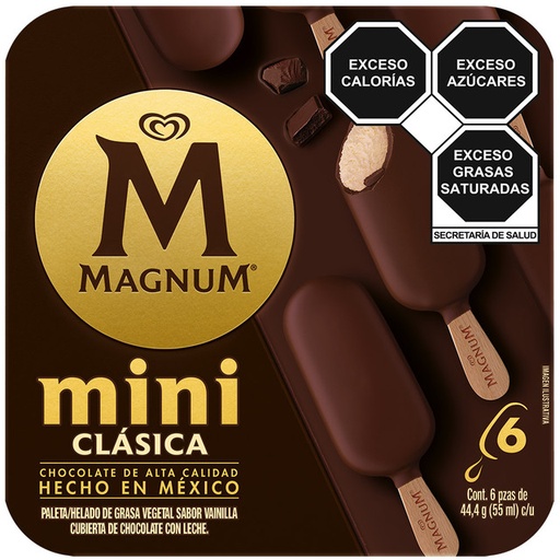 Mini Ice Cream Bar Vanilla and Chocolate Magnum (6pack)